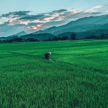 Hoi An Paddy House Homestay Eksteriør bilde