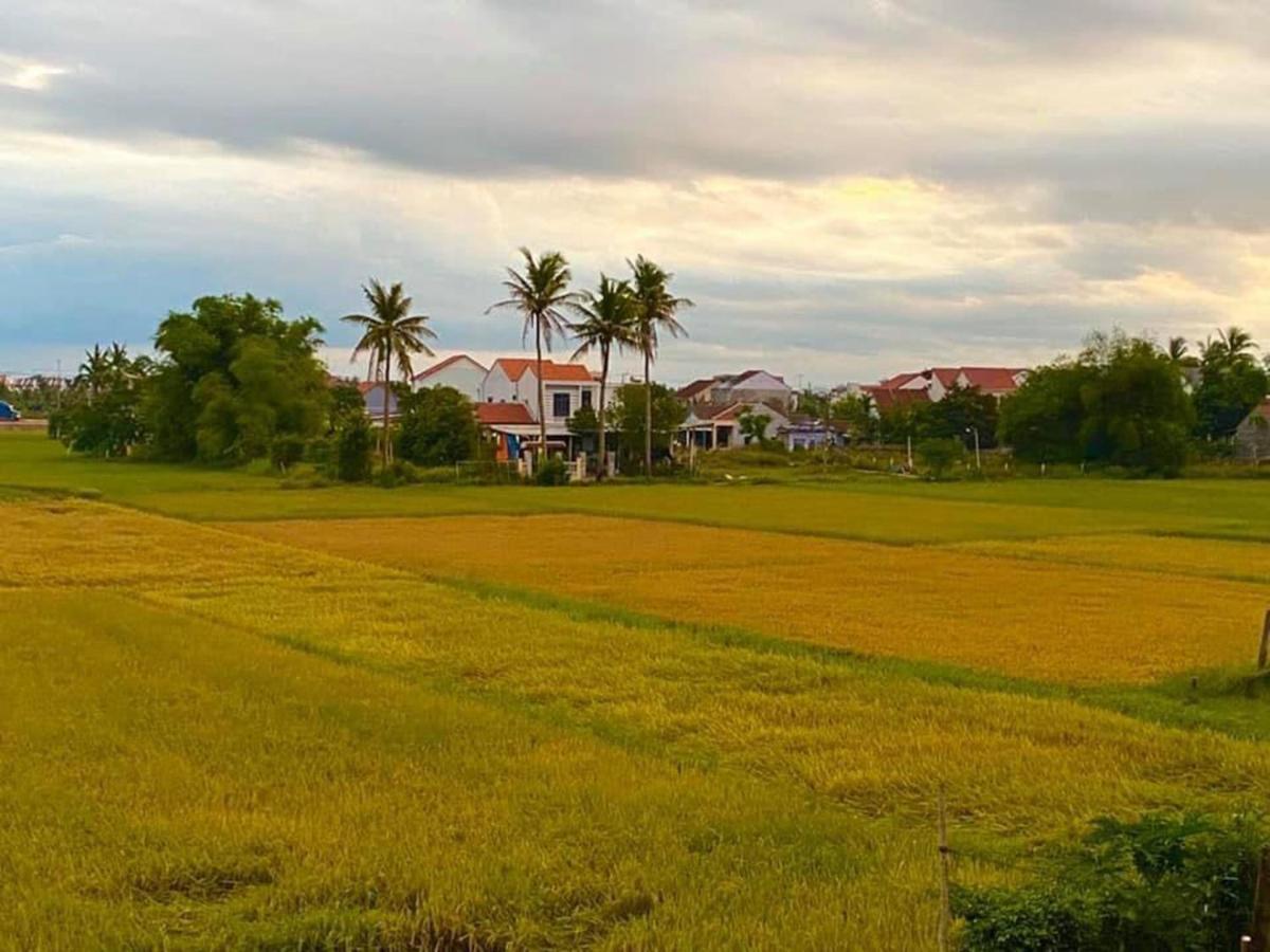 Hoi An Paddy House Homestay Eksteriør bilde