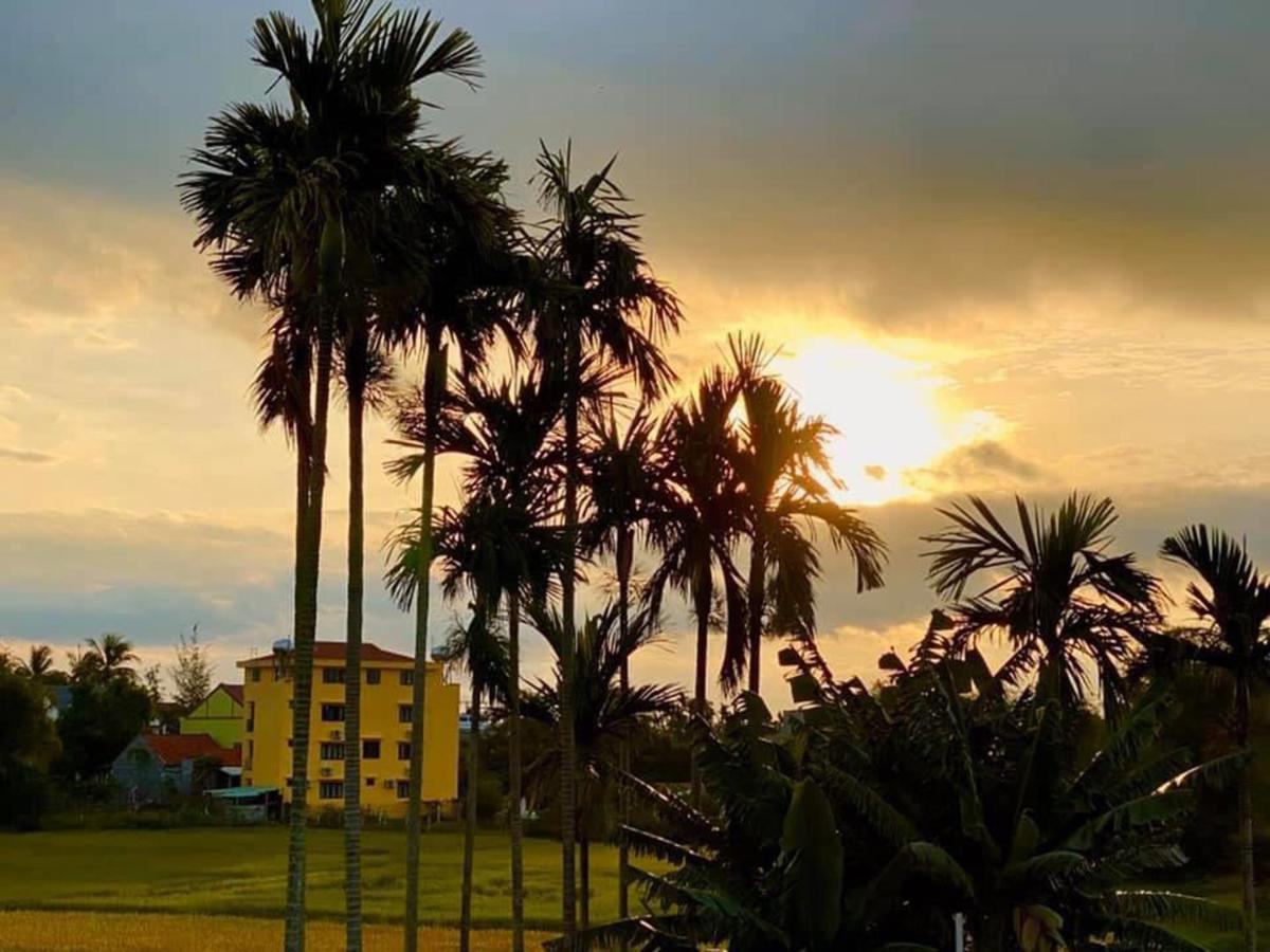Hoi An Paddy House Homestay Eksteriør bilde