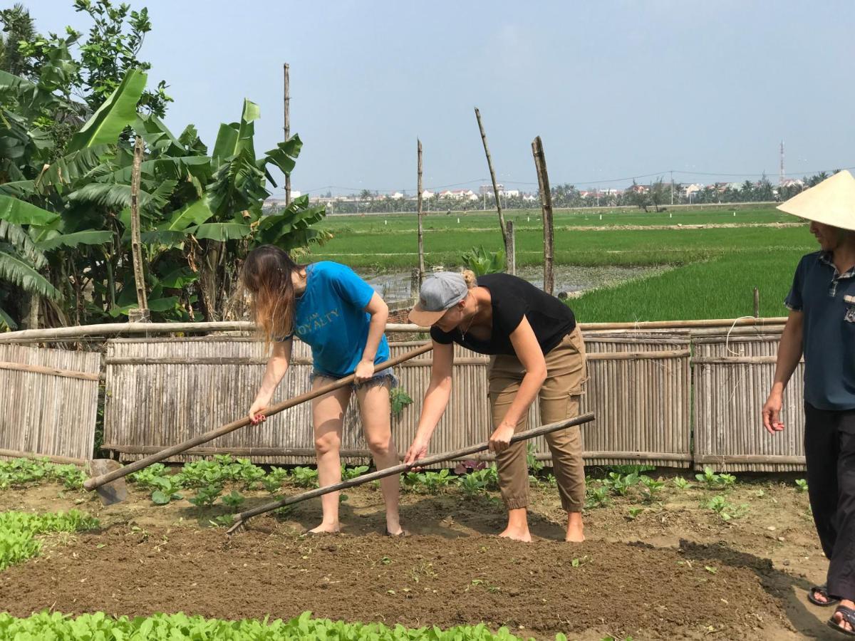 Hoi An Paddy House Homestay Eksteriør bilde