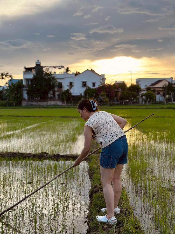 Hoi An Paddy House Homestay Eksteriør bilde